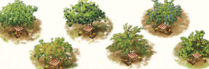 Carcassonne extension: Die Obstbäume. Les arbres fruitiers rapportent gros